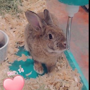 Meet your Posher, Jess